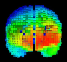Neurociencias TTI Success Insights